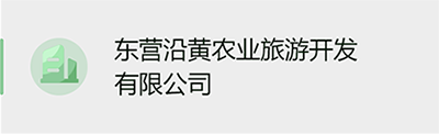 组织构架-三级子公司.png