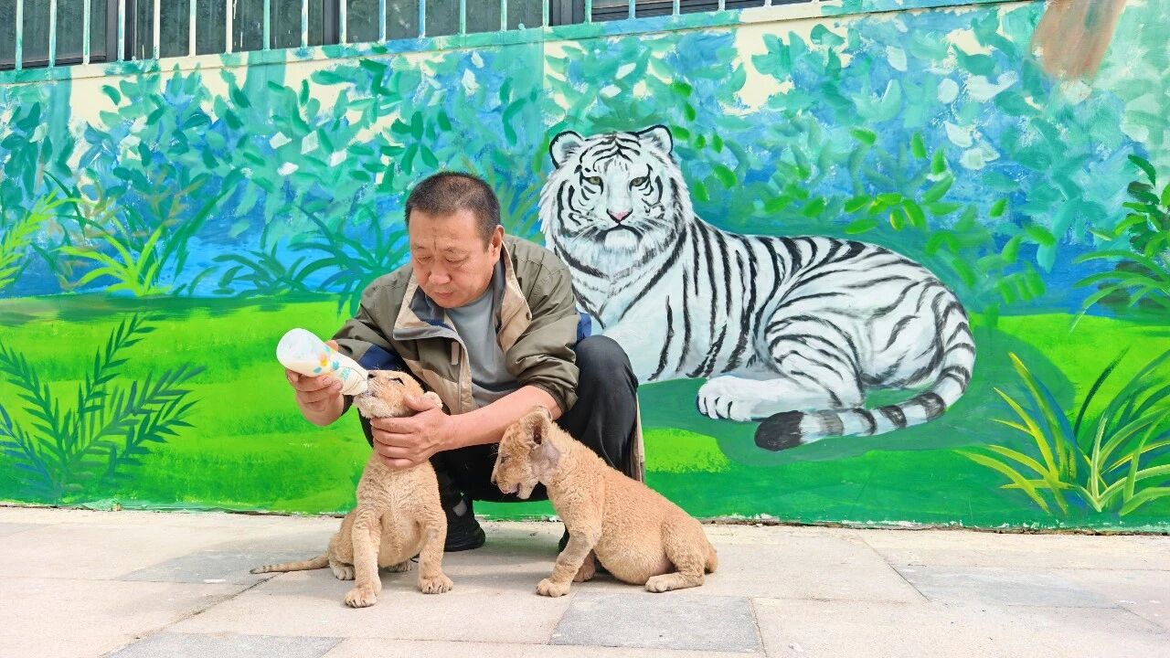 微信图片_2026-06-04_214351_981.jpg